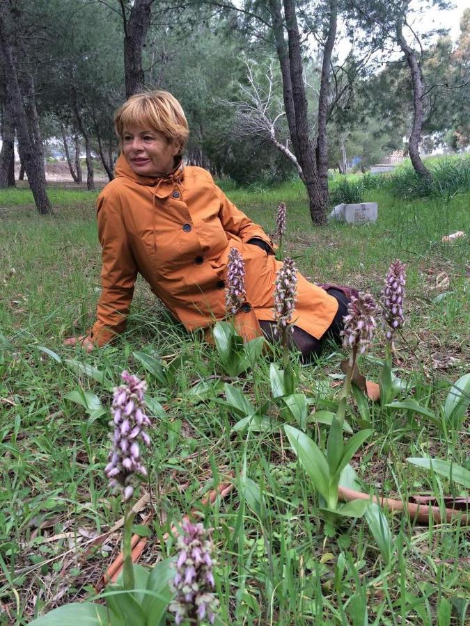 Апартаменты Orchidea Mattinata Parco Del Gargano Экстерьер фото